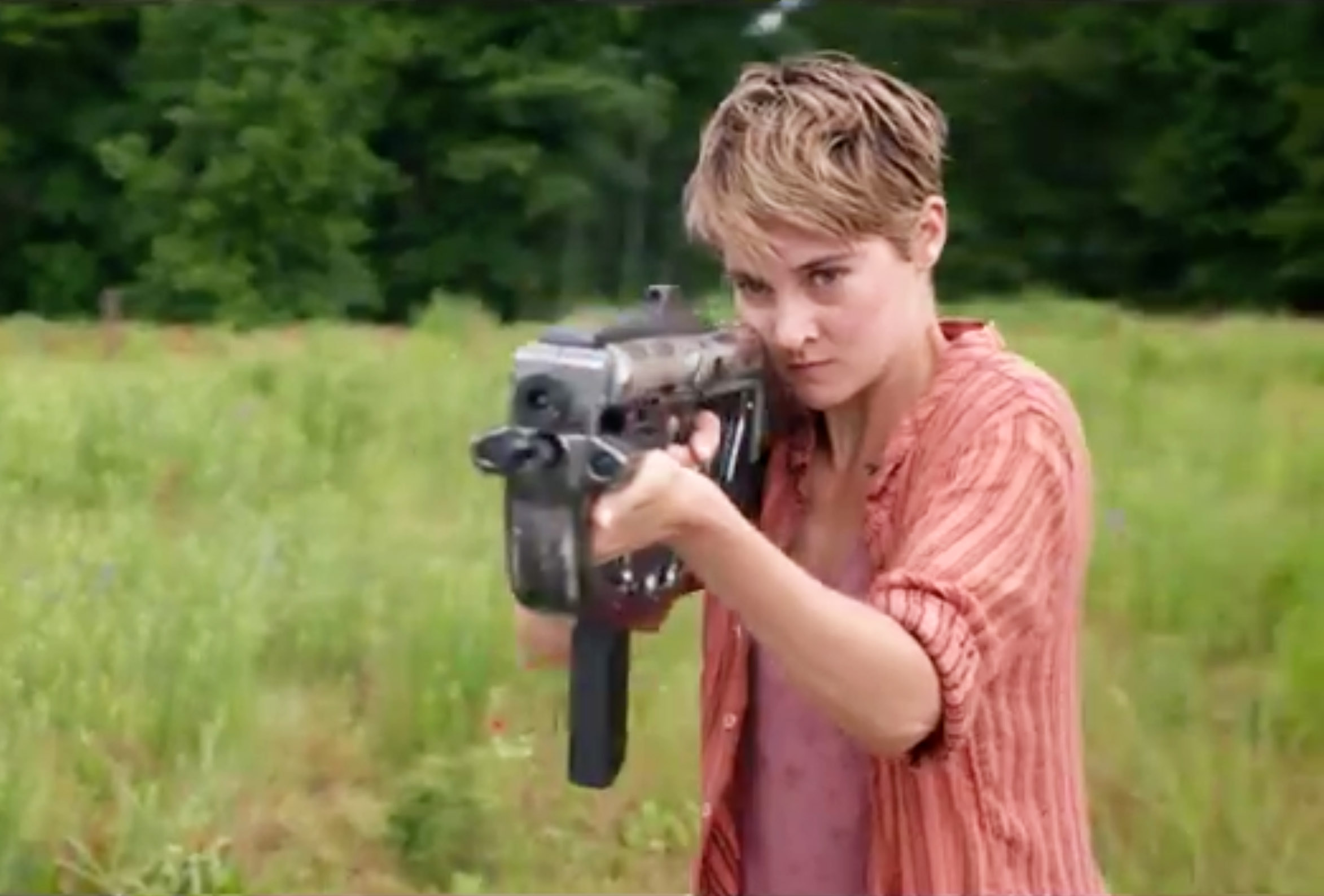 Insurgente
